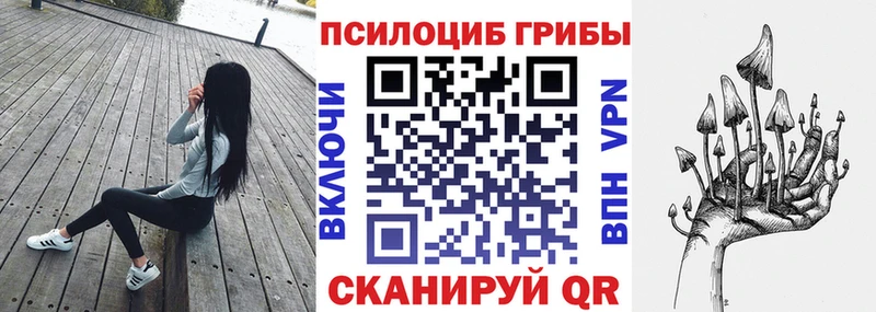 закладки  Аша  Псилоцибиновые грибы мухоморы 