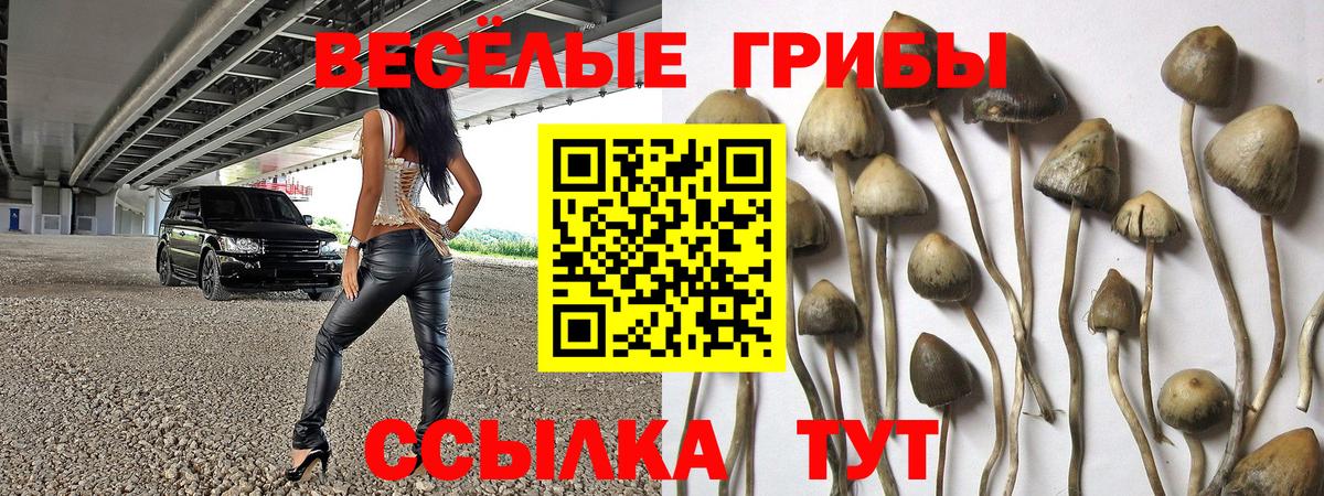 Псилоцибиновые грибы Cubensis  Псилоцибиновые грибы Magic Shrooms  купить наркотик  Вход с VPN  Аша 